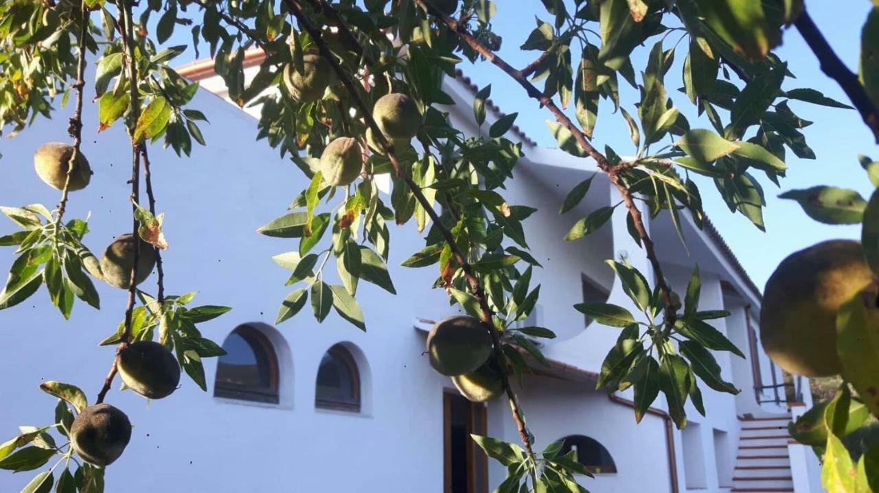 Salmagilandia Hotel Terra Mala Exterior photo